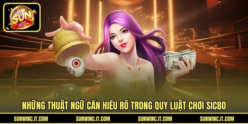 Những thuật ngữ cần hiểu rõ trong quy luật chơi sicbo